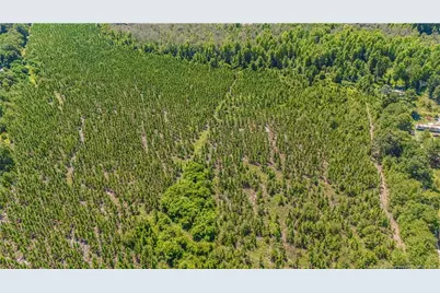 Tbd Blue Springs Road, Red Springs, NC 28377 - Photo 11
