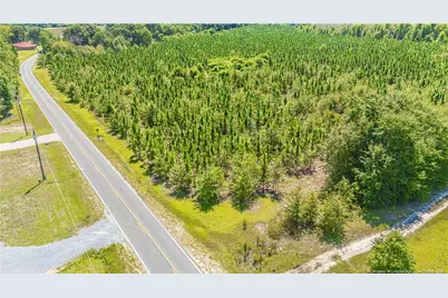Tbd Blue Springs Road, Red Springs, NC 28377 - Photo 3