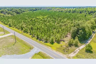 Tbd Blue Springs Road, Red Springs, NC 28377 - Photo 5