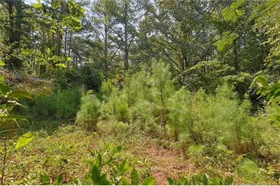 121 Buffalo Street, Fayetteville, NC 28303 - Photo 11