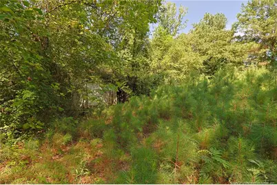 121 Buffalo Street, Fayetteville, NC 28303 - Photo 15