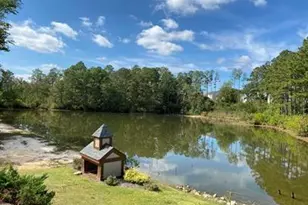 72 Wildlife Bridge Ct, Spring Lake, NC 28390 - Photo 7