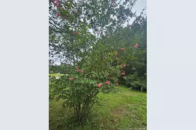 23 Southfork Road, Parkton, NC 28371 - Photo 3