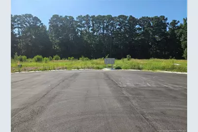 131 Britt Road, Saint Pauls, NC 28384 - Photo 7