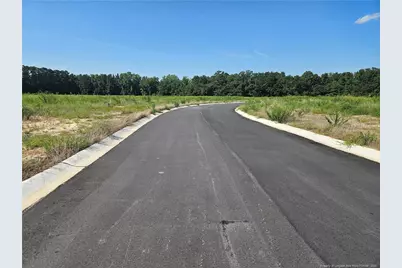 131 Britt Road, Saint Pauls, NC 28384 - Photo 3