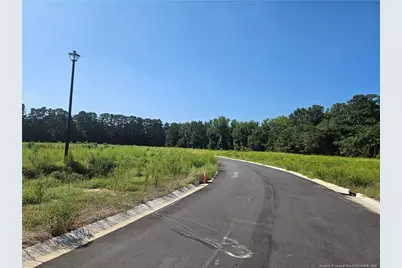 131 Britt Road, Saint Pauls, NC 28384 - Photo 5
