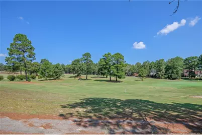 401 Carolina Way, Sanford, NC 27332 - Photo 47