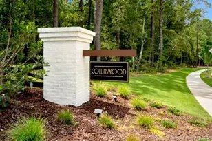 421 Thistle Meadow Ln, Aberdeen, NC 28315 - Photo 25