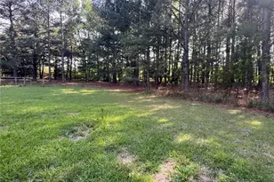 401 Nubbin Ridge Ln, Carthage, NC 28394 - Photo 33