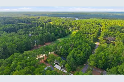 30000 Loblolly Court, Wagram, NC 28396 - Photo 43