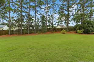 288 Sonora Dr, Lillington, NC 27546 - Photo 35