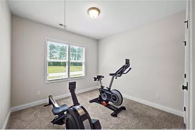 152 Josey Williams Road, Erwin, NC 28339 - Photo 21
