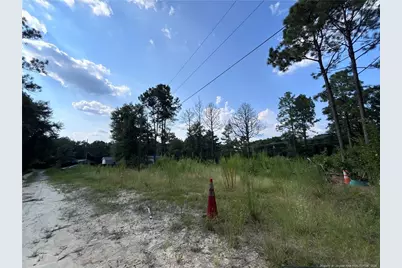 813 Wiregrass Road, Hamlet, NC 28345 - Photo 11