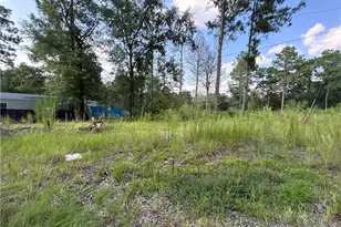 813 Wiregrass Rd, Hamlet, NC 28345 - Photo 1