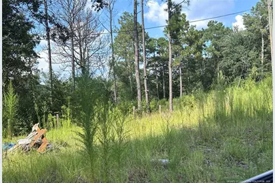 813 Wiregrass Road, Hamlet, NC 28345 - Photo 7