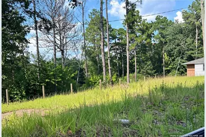813 Wiregrass Road, Hamlet, NC 28345 - Photo 3
