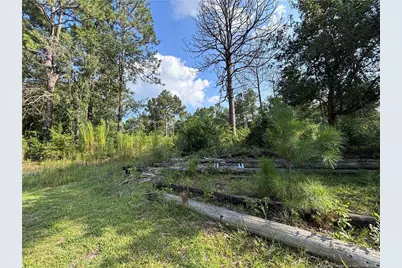 813 Wiregrass Road, Hamlet, NC 28345 - Photo 13