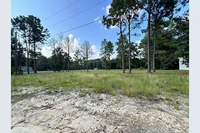 813 Wiregrass Road, Hamlet, NC 28345 - Photo 5