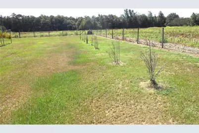 644 Lamb Road, Lumberton, NC 28358 - Photo 19