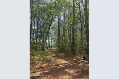 490 Springhill Church Road, Hamlet, NC 28345 - Photo 27