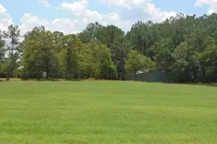490 Springhill Church Rd, Hamlet, NC 28345 - Photo 21