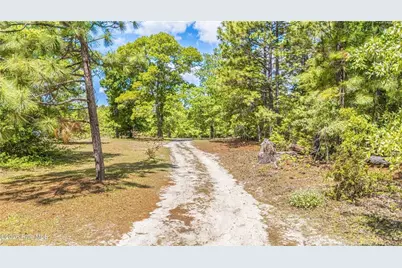 490 Springhill Church Road, Hamlet, NC 28345 - Photo 49