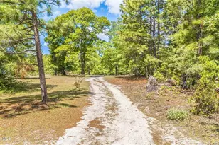 490 Springhill Church Rd, Hamlet, NC 28345 - Photo 49