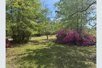 490 Springhill Church Road, Hamlet, NC 28345 - Photo 39