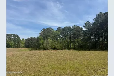 490 Springhill Church Road, Hamlet, NC 28345 - Photo 31