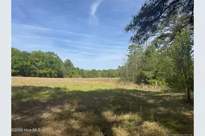 490 Springhill Church Road, Hamlet, NC 28345 - Photo 33