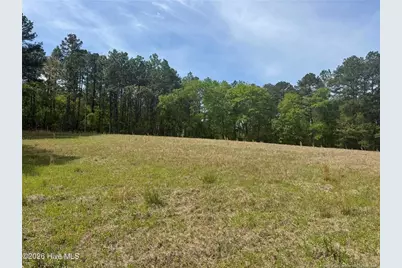 490 Springhill Church Road, Hamlet, NC 28345 - Photo 29