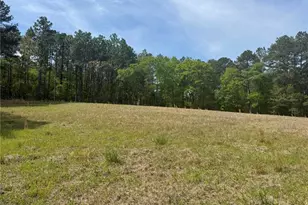 490 Springhill Church Rd, Hamlet, NC 28345 - Photo 29