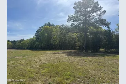 490 Springhill Church Road, Hamlet, NC 28345 - Photo 35