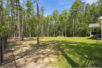 29801 Peach Orchard Road, Wagram, NC 28396 - Photo 41