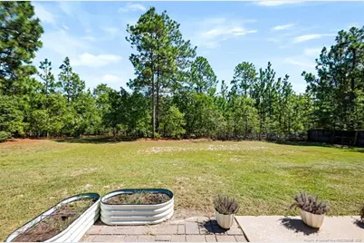 32 Basket Oak Drive, Bunnlevel, NC 28323 - Photo 31