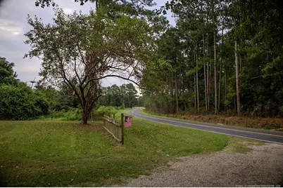799 Cain Road, Saint Pauls, NC 28384 - Photo 29