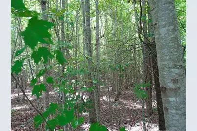 000 Giles Road, Linden, NC 28356 - Photo 3