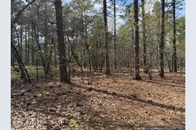 27 Birkdale Way, Pinehurst, NC 28374 - Photo 13