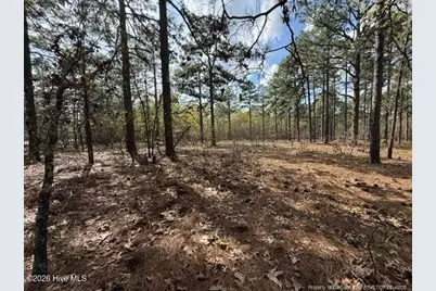 27 Birkdale Way, Pinehurst, NC 28374 - Photo 9