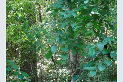 000 Gilbert Road, Eastover, NC 28312 - Photo 3