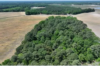 Tbd N Duffie Road, Red Springs, NC 28377 - Photo 3
