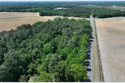 Tbd N Duffie Road, Red Springs, NC 28377 - Photo 1