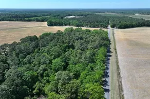 Tbd N Duffie Rd, Red Springs, NC 28377 - Photo 1