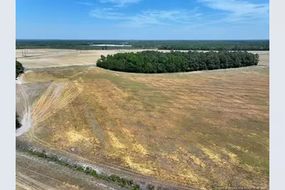 Tbd N Duffie Road, Red Springs, NC 28377 - Photo 15