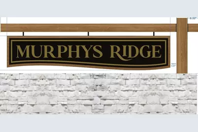 Lot 10 Poppy Mallow Lane, Oxford, NC 27565 - Photo 1