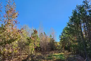 Tbd Snow Camp Rd, Snow Camp, NC 27349 - Photo 1