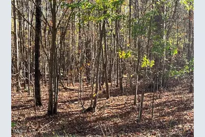 17.74 Acre Halifax Road, Roxboro, NC 27574 - Photo 1