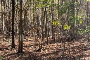 17 74 Acre Halifax Rd, Roxboro, NC 27574 - Photo 1