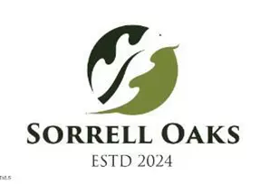 55 Chestnut Oak Dr, Youngsville, NC 27596 - Photo 1