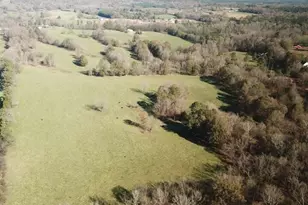 7241 US Hwy 64, Pittsboro, NC 27312 - Photo 1